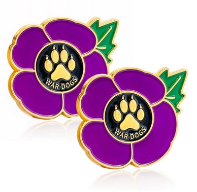 7e88f626-b1e6-4a8b-a996-403b0bde301d.War Dogs x2